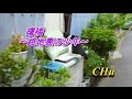 曙橋~路地裏の少年~  すぎもとまさと ★ CHu