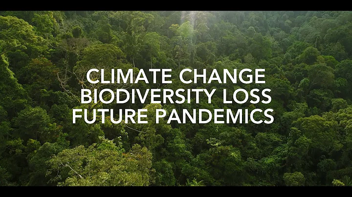 Nature-based Solutions to Climate, Biodiversity, and Pandemic Threats - DayDayNews