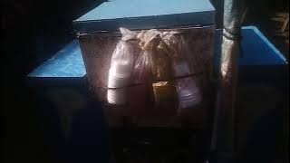 suara es tung tung jualan keliling