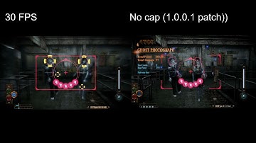 [BUG] FATAL FRAME/ PROJECT ZERO: FPS Affects Miu