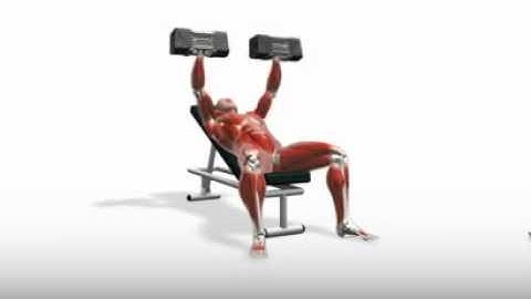 Exercise Videos- PowerBlock Incline Bench Press - YouTube.flv