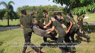 คลิปหลุดการฝึก รด โรงเรียนลึกลับเเต่ไม่หลับลึก