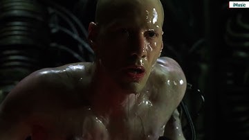 Down the rabbit hole  - The Matrix