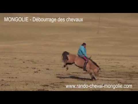 J'AI TRAVERSÉ (une partie de) LA MONGOLIE À CHEVAL ! 