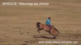 MONGOLIE - Dressage d'un cheval par les nomades - Une vidéo RANDO CHEVAL, agence de voyage équestre