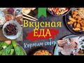 ВЛОГ: ВКУСНАЯ ЕДА/ Кормим собак. 21.02.21