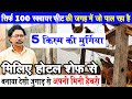 SONALI, DEHATI MURGI, FFG , KADAKNATH सब मात्र10X10 के जगह में , ऊपर से देसी जुगाड़ वाला HATCHERY भी