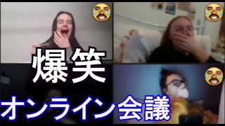 オンライン会議 ハプニング ズーム英語  猫 動物 子供乱入ペット　おもしろ爆笑動画集 あるある