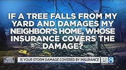 Insurance agent talks wind damage coverage