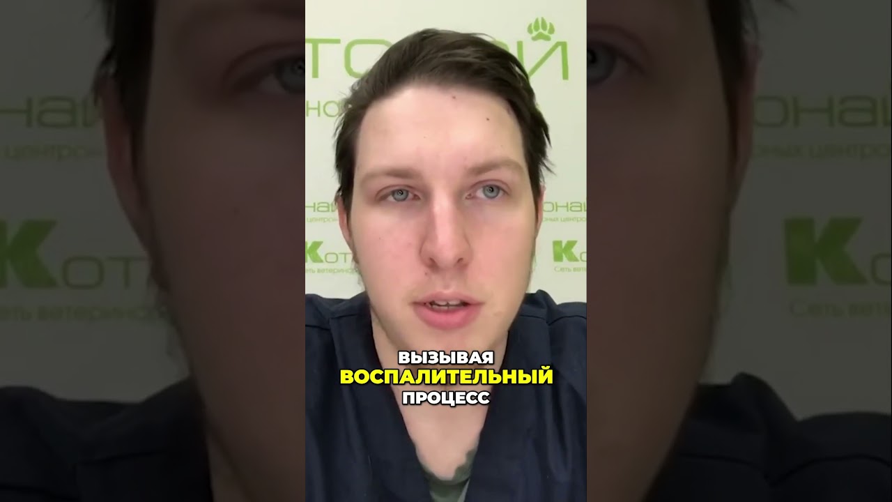 Энцефалиты, Менингенцефалиты и Менингемиелиты | Понимание симптомов и лечение