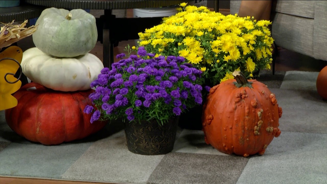 Fall Is In The Air With Wilson S Garden Center Youtube