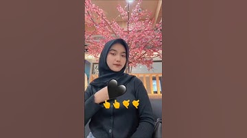 velocity DJ pro max #shorts #velocity