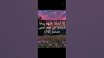 سورة القمر الآية 19
