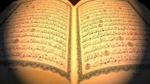 سورة نوح   صلاح البدير surat NOOH salah albudeyr