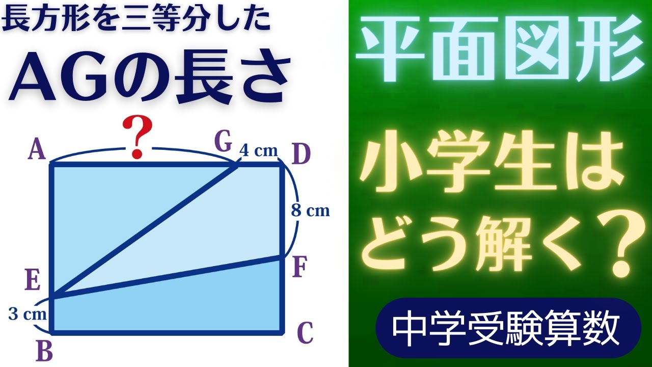 中学受験算数】平面図形・等分した面積【最難関クラス】 - YouTube