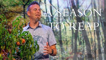 How To Get Better Results In Life | SEASONS (Pt. 4) | Filipe Santos