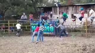 Calando Toros El Fantasma