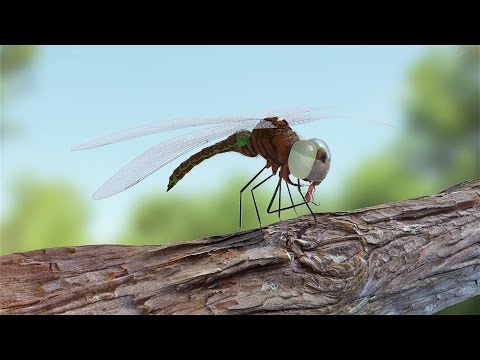 CGI: "The Duck Hunter" - Short Film