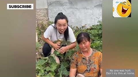 Try Not To Laugh Challenge 😂 ▶️ LEVEL 9| Instant Regret Fails Compilation 2025