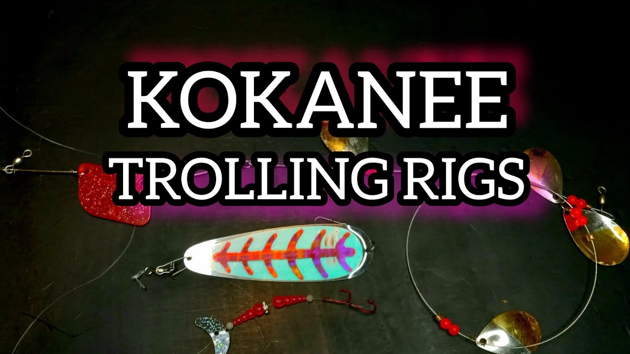 Kokanee Rigs: All You Need to Know about Trolling For The MINI-Salmon 