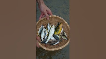 Traditional  Fish and Bamboo Shoots Chinese Recipe #shorts #cooking