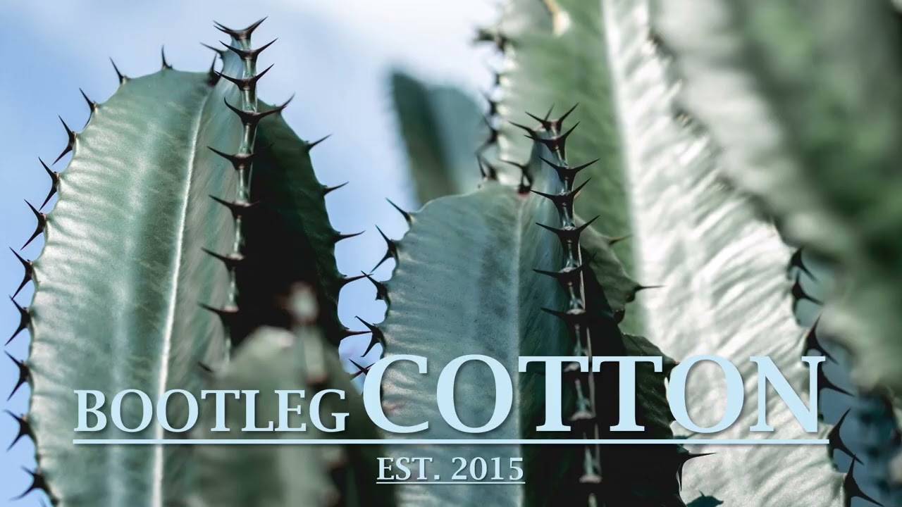 Jerome Sydenham - Feral