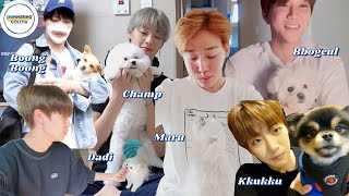 Just Golden Child With Dogs  #1 *cuteness explosion* [골든차일드]