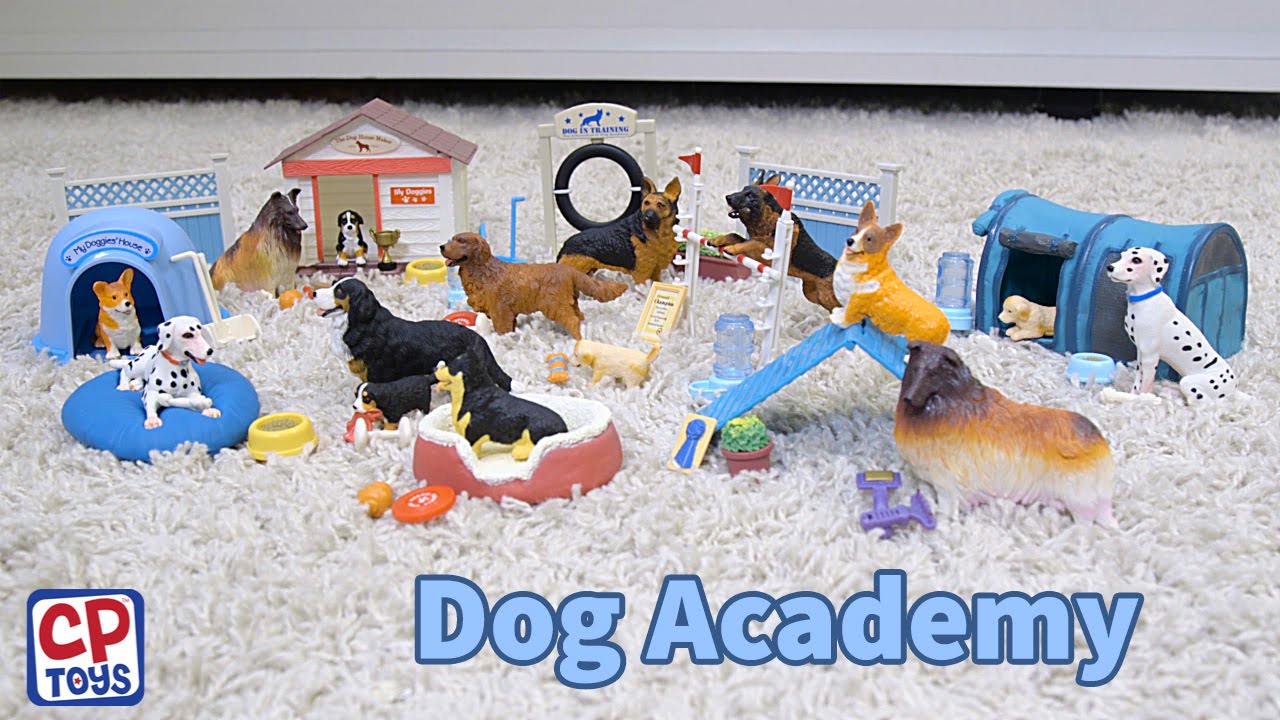 dog play set