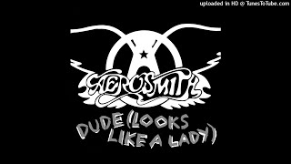 Aerosmith - Dude (Looks Like A Lady) (LP Version)
