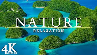 4K Ultra hd Video Relaxing Music - Beautiful Nature - Peaceful Relax Piano Music For Stress Relief by love music 2,120 views 3 years ago 1 hour, 3 minutes