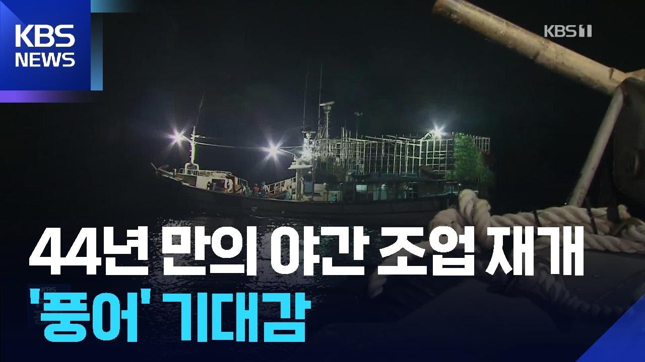 인천 연안 야간조업 44년 만에 허용…“꽃게·쭈꾸미 풍어 기대” / KBS  2026.03.07.