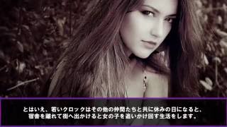 マクドナルド創業者レイ・クロックのサクセスストーリー　 糖尿病の52歳で起業！