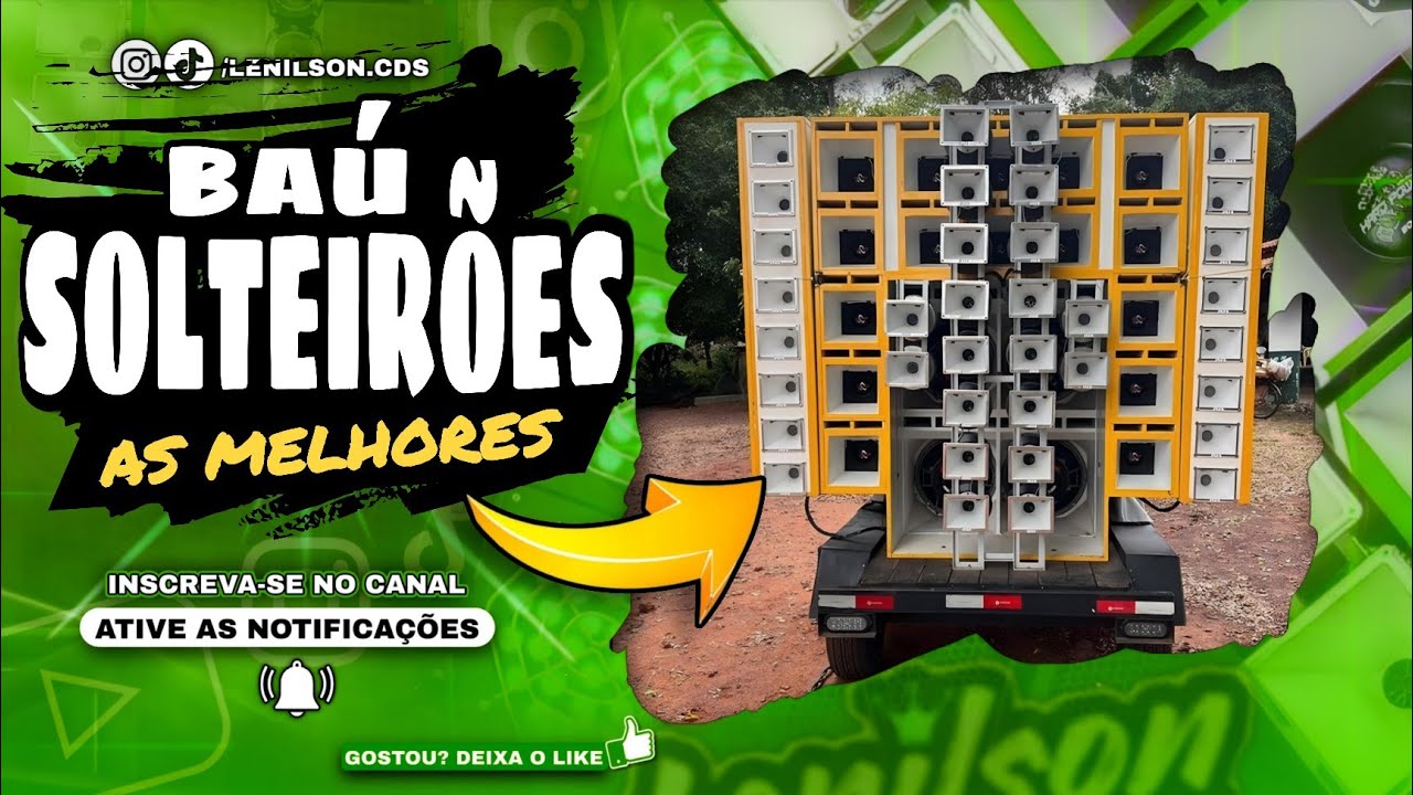BAÚ SOLTEIRÕES DO FORRÓ - SELEÇÃO PRA PAREDÃO _ AS MELHORES 