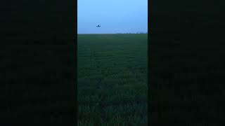 Обліт дрона #drone #fpv #automobile #fpvdrone #dji #3dprinting #hobby #dronelife #diy #farming