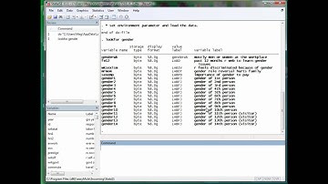 STATA(4): lookfor codebook