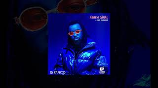 Dj Tarico - Abre o Canal ft. Yuri Da Cunha (Official Audio) [Visualizer]