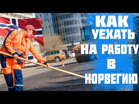 Видео: Как да получите виза за Норвегия