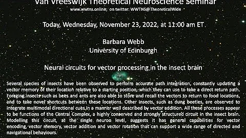 Neural circuits for vector processing in the insec...