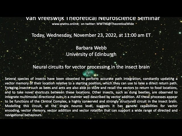 Neural circuits for vector processing in the insect brain | Barbara Webb, University of Edinburgh