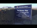 U of I plot hiding in plain sight is celebrated for 150 years of research