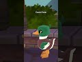 🦆