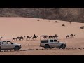 Wadi Rum Jordan рџ Їрџ ґ Camel Convoy In The Desert Running Camels Destination In Jordan Must Visit Wadi Rum Jordan рџ Їрџ ґ Camel Convoy In The Desert Running Camels Destination In Jordan Must Visit