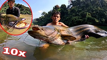 THUỶ QUÁI CỦA RỪNG  ? Tóm Gọn Loài Cá Có Hàm Răng Kiếp Sợ Nhất Rừng Mưa | Kết thúc Chuyến Săn