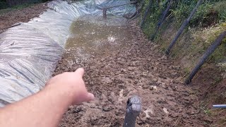 BALTA NOUĂ IN GRADINĂ - IAZ PERSONAL - IL UMPLEM CU APĂ