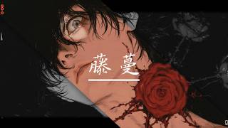 ZML -藤蔓「你是我的空氣，是我的窒息」 Lyrics Video【高音質 動態歌詞 Lyrics】