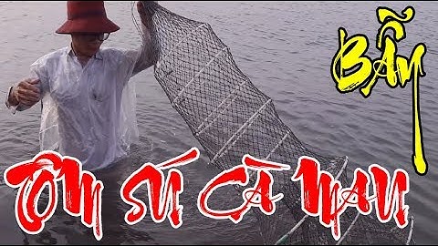 Trãi Nghiệm Cách Dỡ Lú Bắt Tôm Sú, Cua Biển Cùng Ngư Dân Cà Mau | Thu Hoạch Tôm Sú, Cua Biển