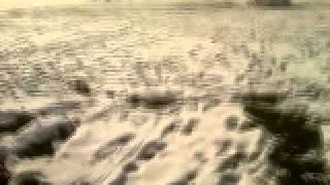 VIRUS 183 TRANCE RIFF