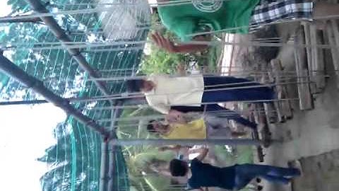 Thietbiso.com - Đảo Dừa Lửa 6.3gp