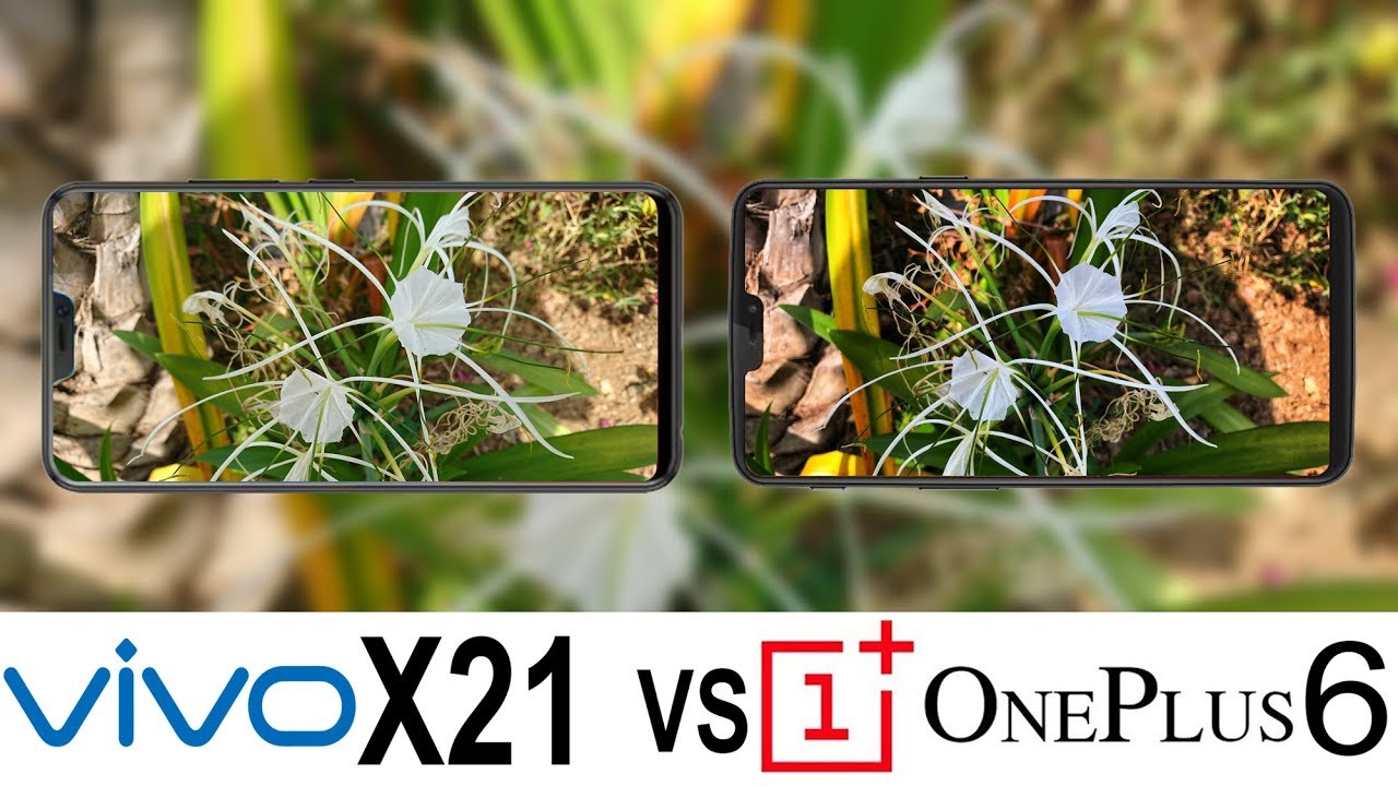 Vivo X21 Vs Oneplus 6 Camera Test