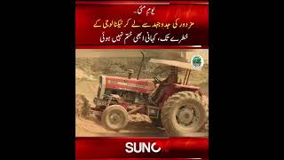 Labour Day: From Workers’ Struggle to the Challenges of Modern Technology